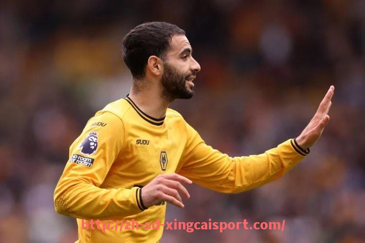 杏彩体育-英超足球队徽大全：英超所有球队的队徽合集